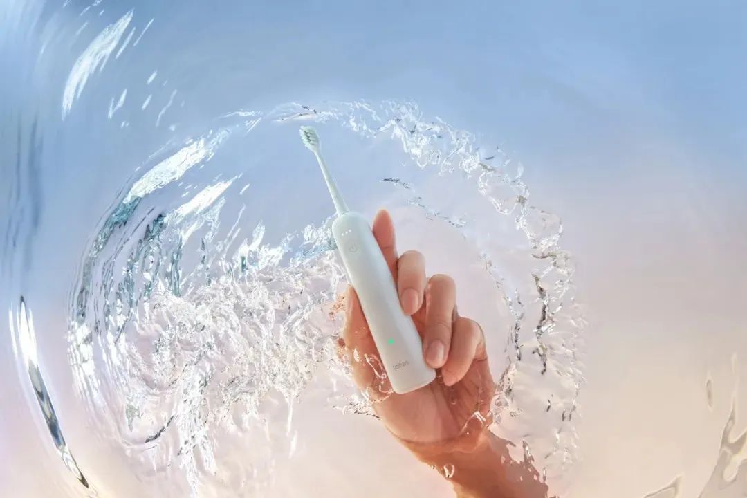 1739261511306772.jpg 25.jpg