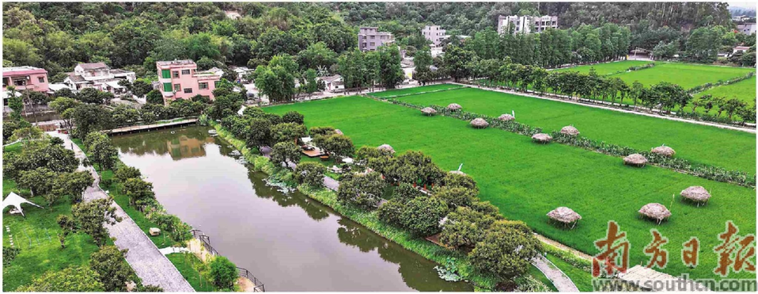  珠光集團助力“百千萬工程” | “產業村官”下鄉“種”產業